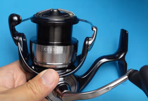 Daiwa Certate 24 Reel VS Daiwa Certate SW 3